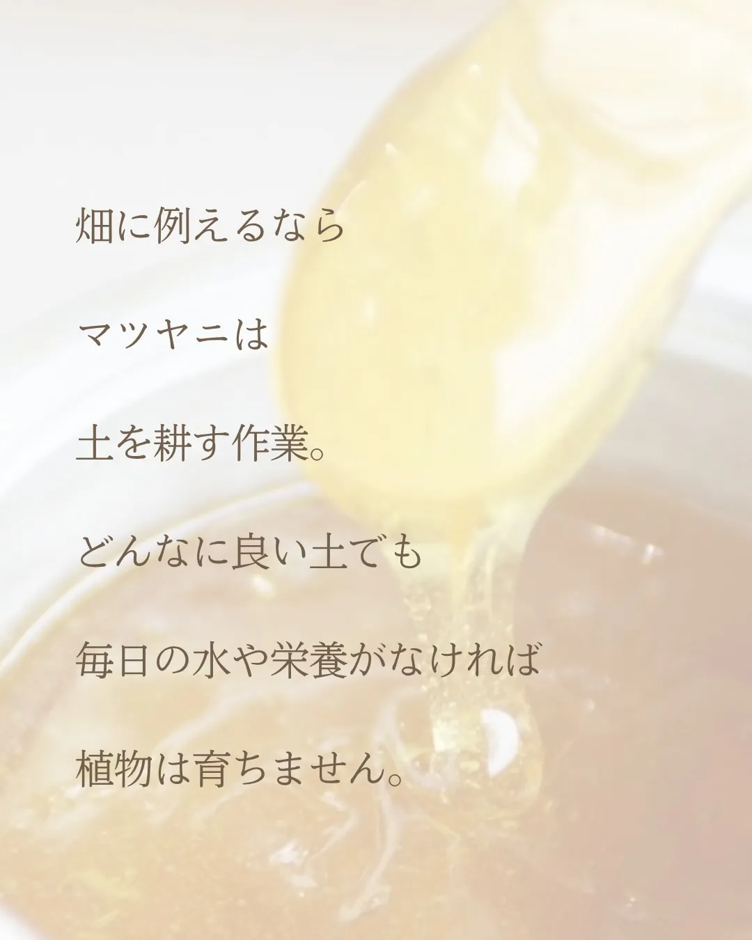 マツヤニは、
お肌をキレイにするゴールではなく