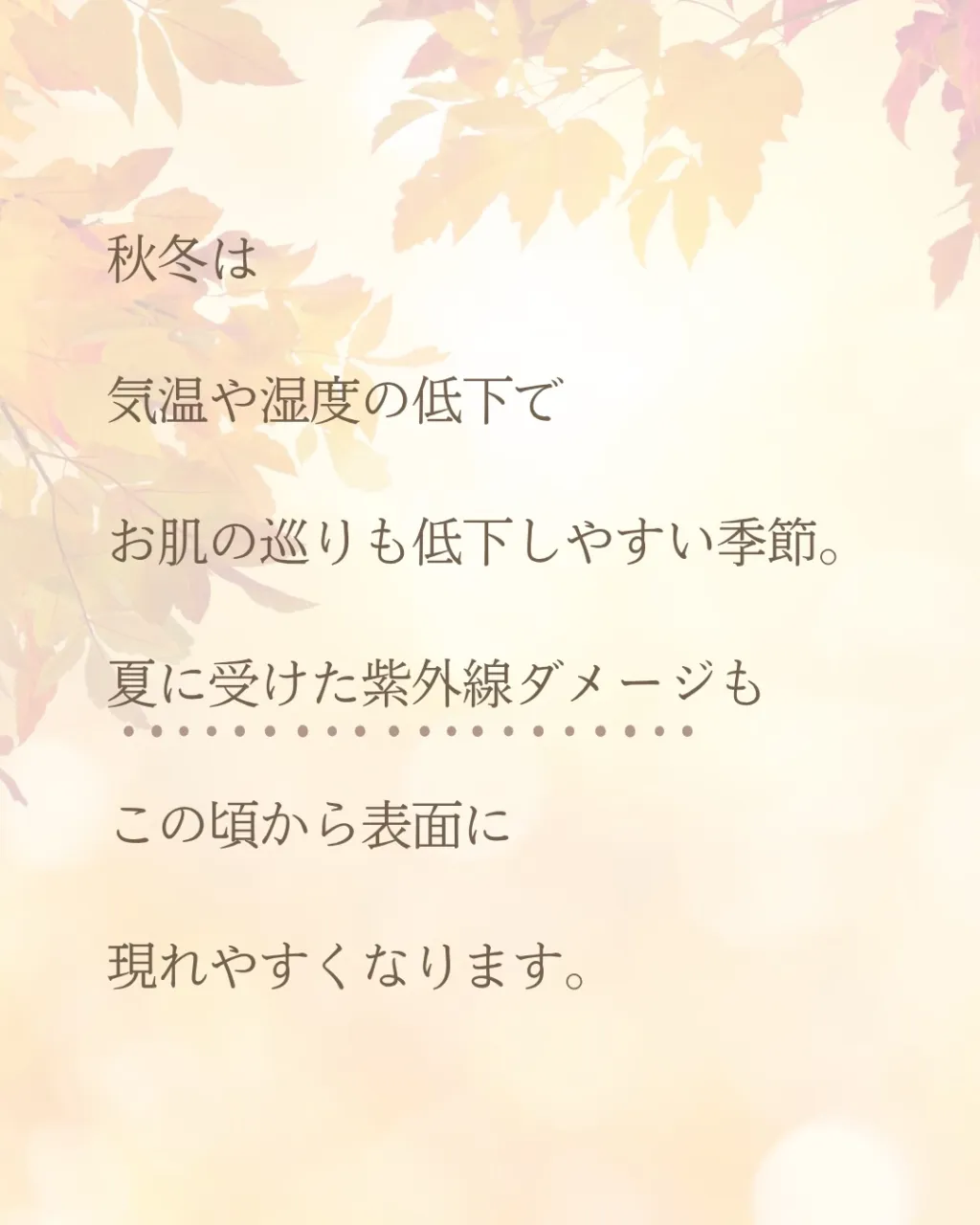 年末は、