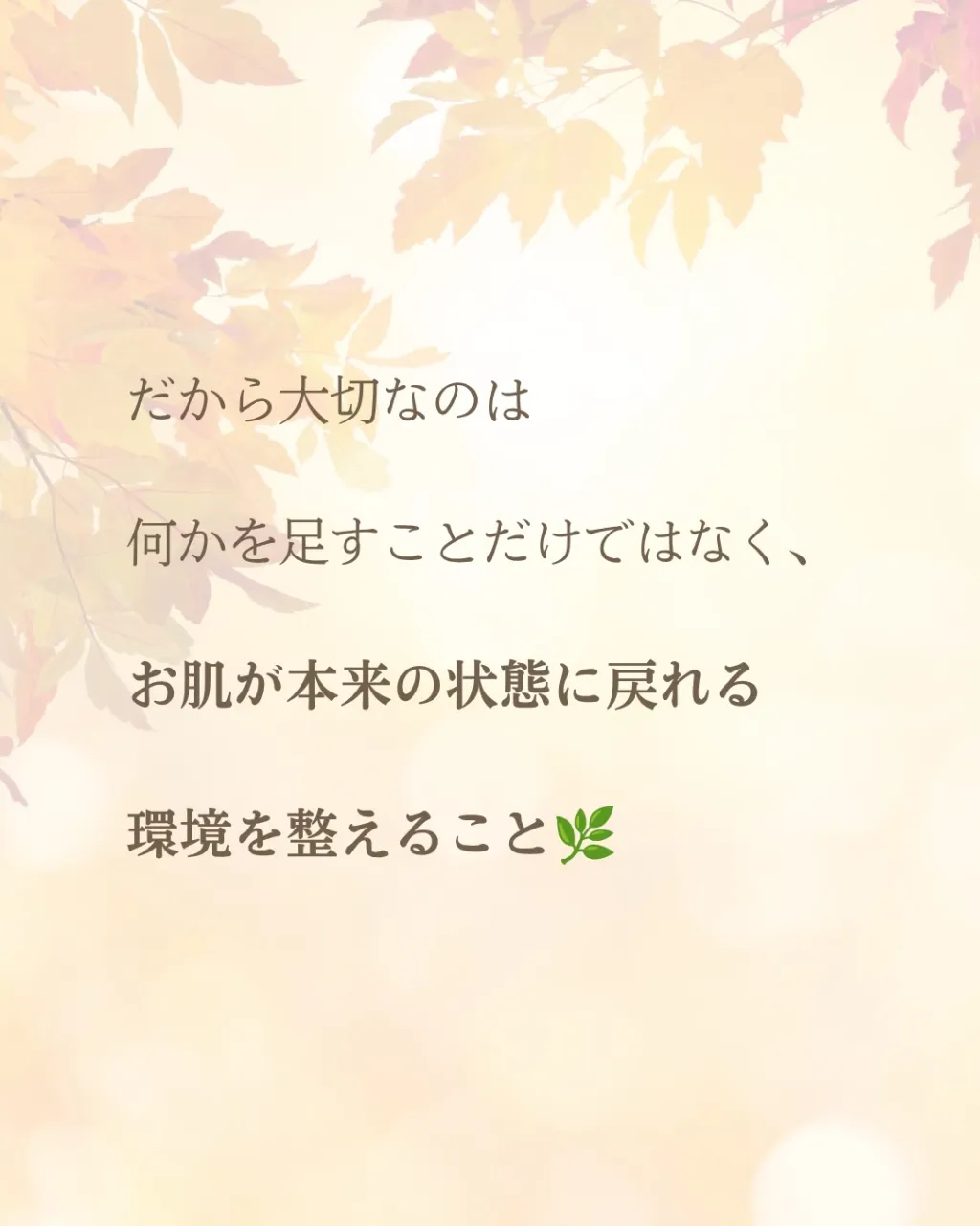 年末は、