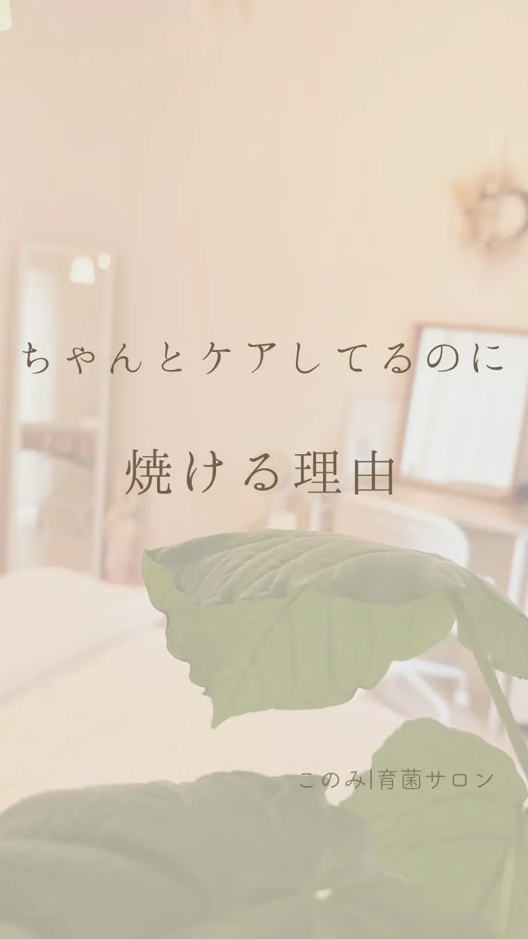 毎年、夏が終わる頃に聞く言葉。